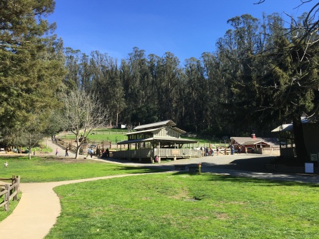 A great picnic area with a petting zoo